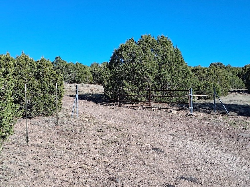 86 County Road 8227, Concho, AZ 85924 - photo 1