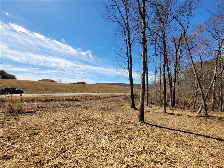 861-B Goat Rd, Resaca, GA 30735 - photo 1