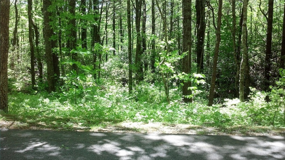 66 Grandview Ct, Sapphire, NC 28774 - photo 1