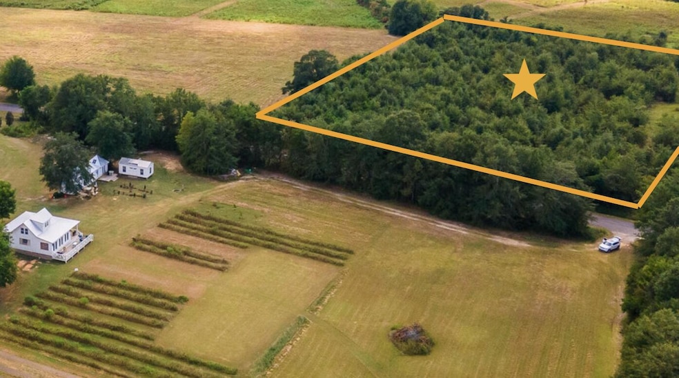 TBD Union Academy Rd, Salley, SC 29137 - photo 1