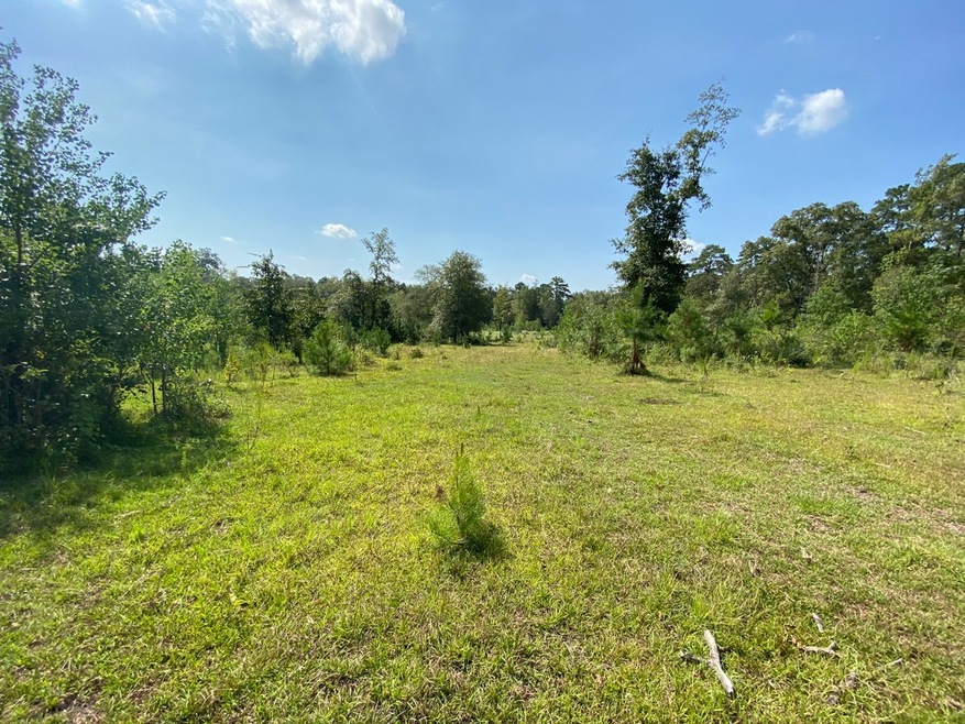 00 Mill Creek Rd, Huntington, TX 75949 - photo 1