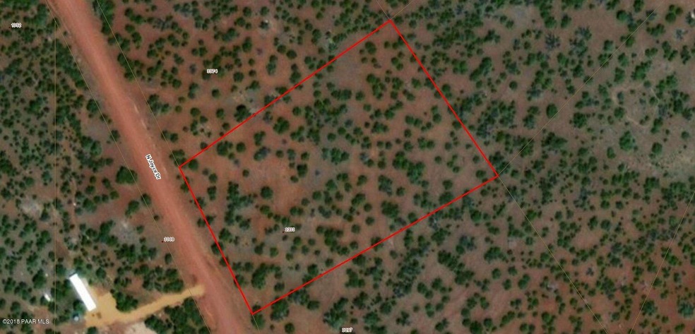 satellite image