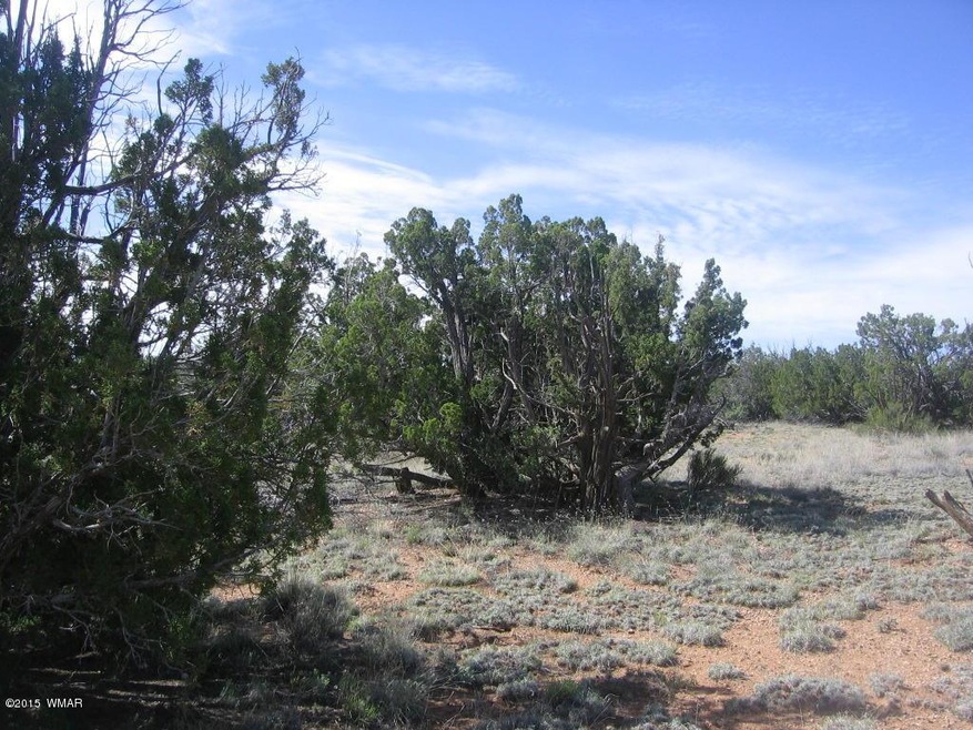 Itasca 5 Acres 001 - Copy