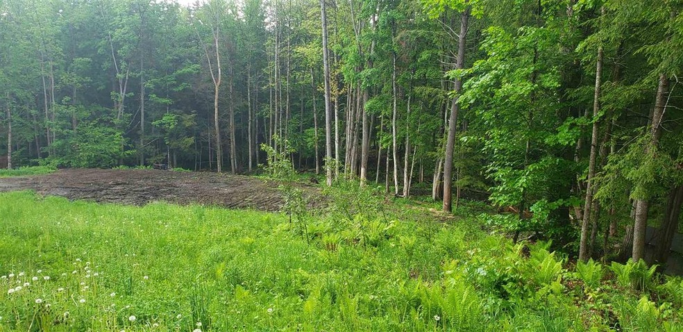 00 Dexter Mountain Rd, Glover, VT 05839 - photo 1