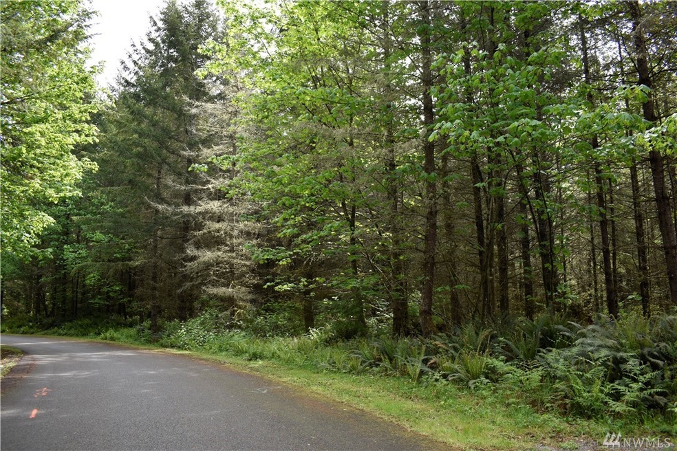 0 191st St E, Orting, WA 98360 - photo 1