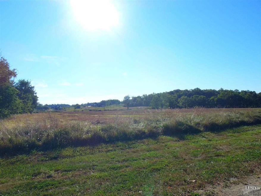 16900 Shadow Glen Dr, Leo, IN 46765 - photo 1