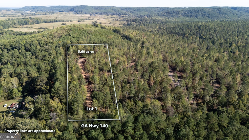 3785 Hwy 140 NE, Rydal, GA 30171 - photo 1