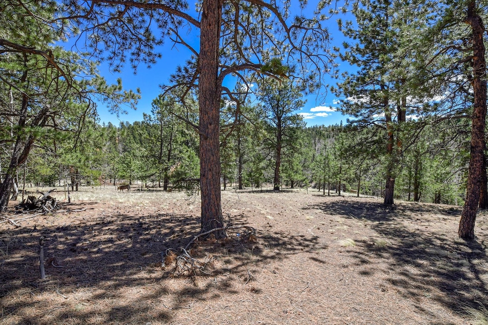 112 Blue Jay Ln, Divide, CO 80814 - photo 1