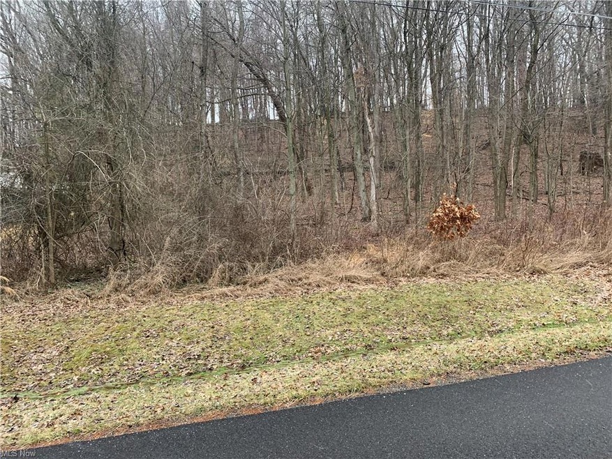 Wooded lot