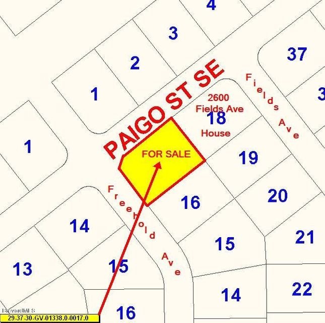 2013-10-12 Freehold Av & Paigo St - Map