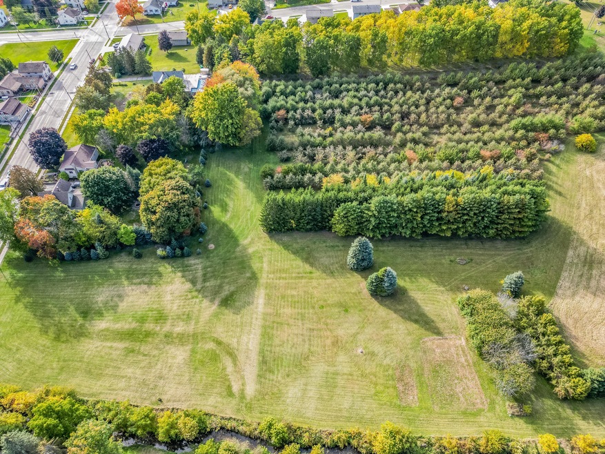 Apple_Orchard-7