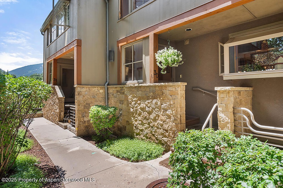 100 N 8th St unit 30, Aspen, CO 81611 - photo 1