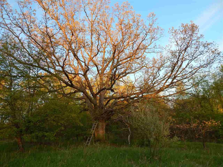 W1788 Mortensen Rd, Brooklyn, WI 53521 - photo 1