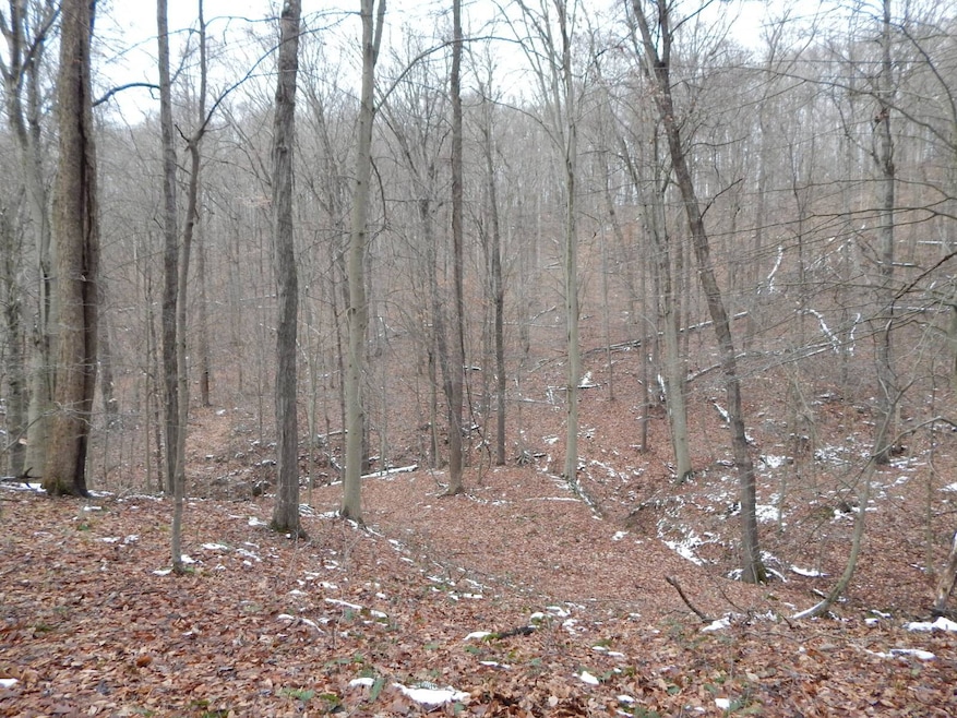 00 Seckman Ridge, St. Marys, WV 26170 - photo 1