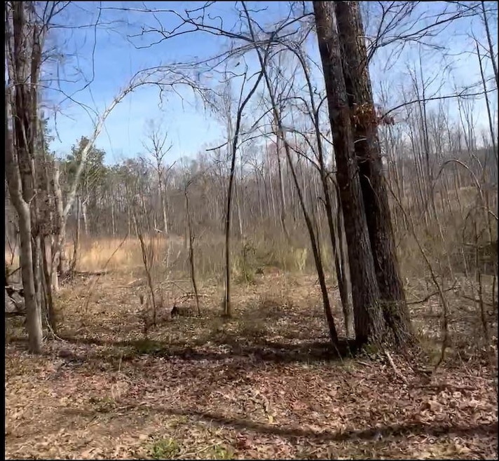 View of wooded area