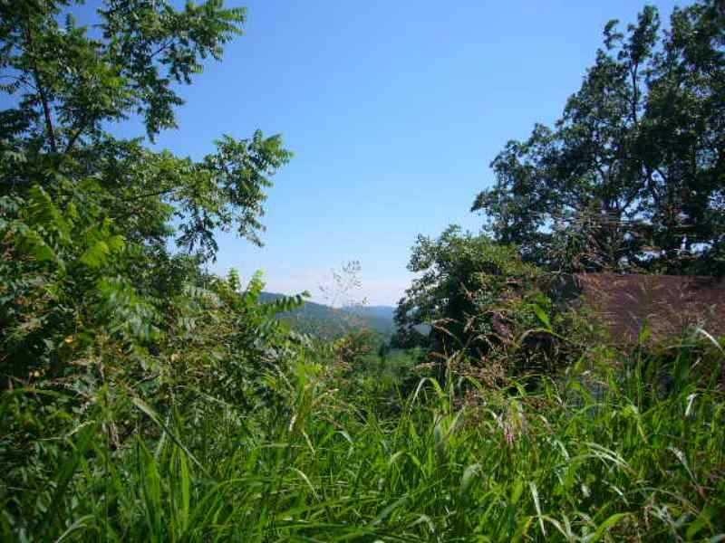 173 E Van Buren Ave, Winslow, AR 72959 - photo 1