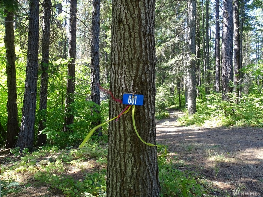 601 Wadsworth Loop, Ronald, WA 98940 - photo 1