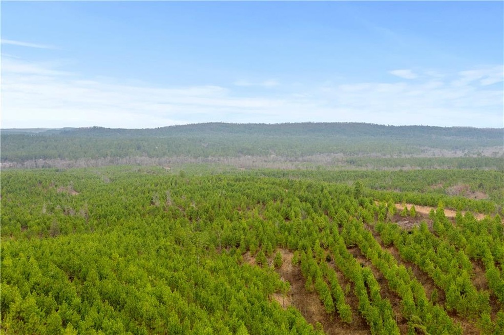 0 Lot 69 unit 989491, Broken Bow, OK 74728 - photo 1