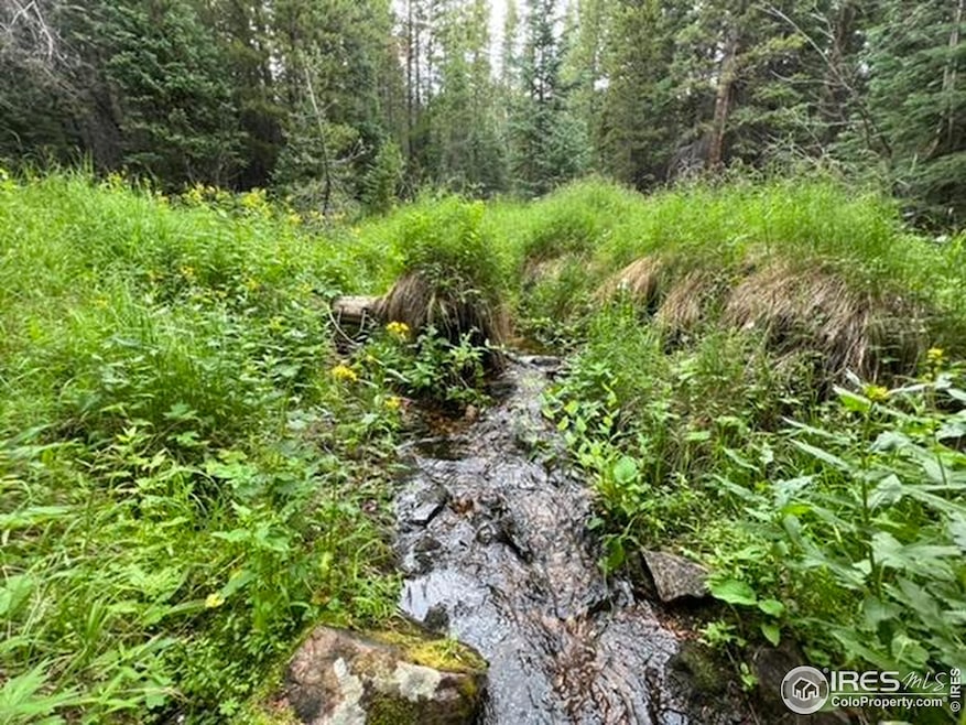 Pearl Creek flows year around