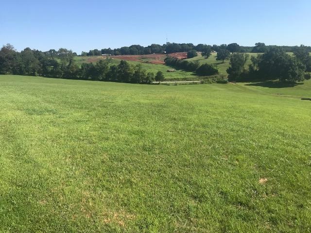 1661 S Songbird Cir, Nixa, MO 65714 - photo 1