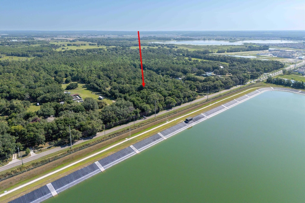 30647 Elam Rd, Wesley Chapel, FL 33545 - photo 1