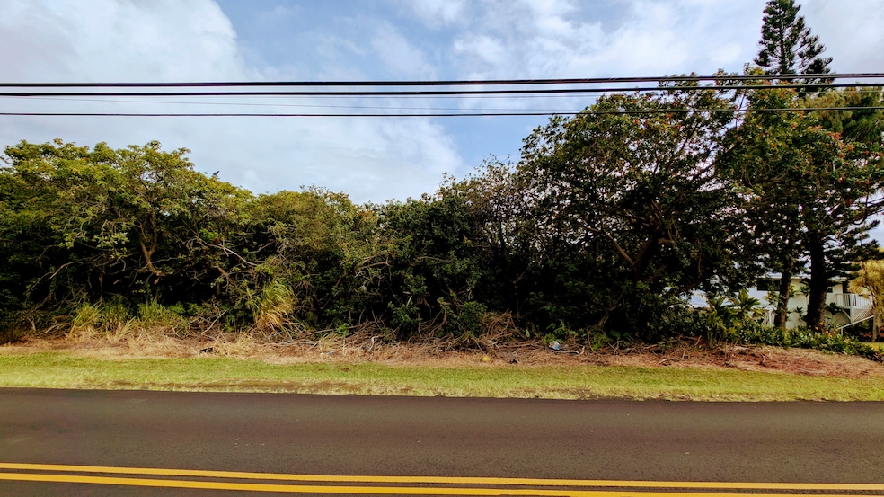 0 Kamaoa Rd unit 726127, Naalehu, HI 96772 - photo 1