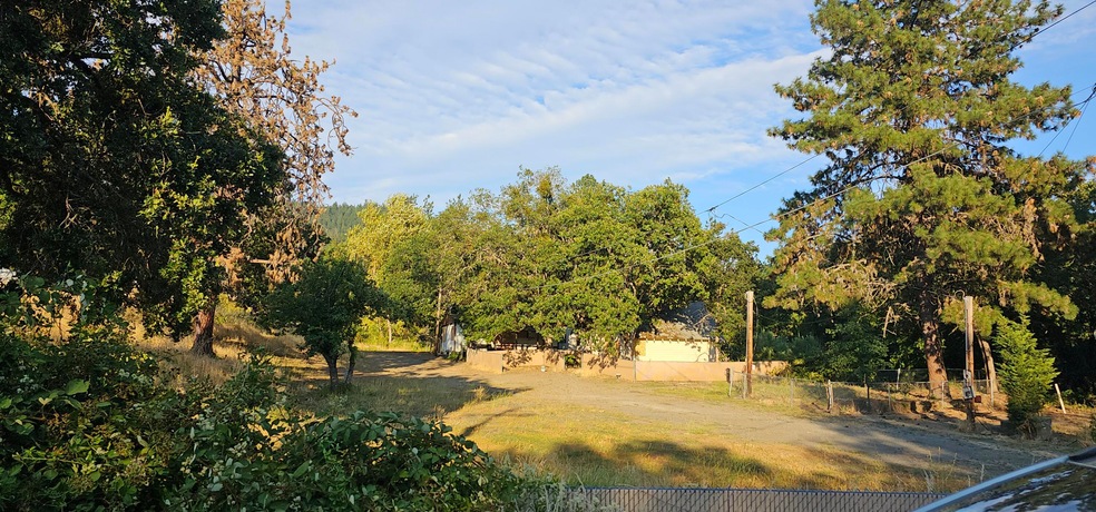 Photo From W. Jones Creek