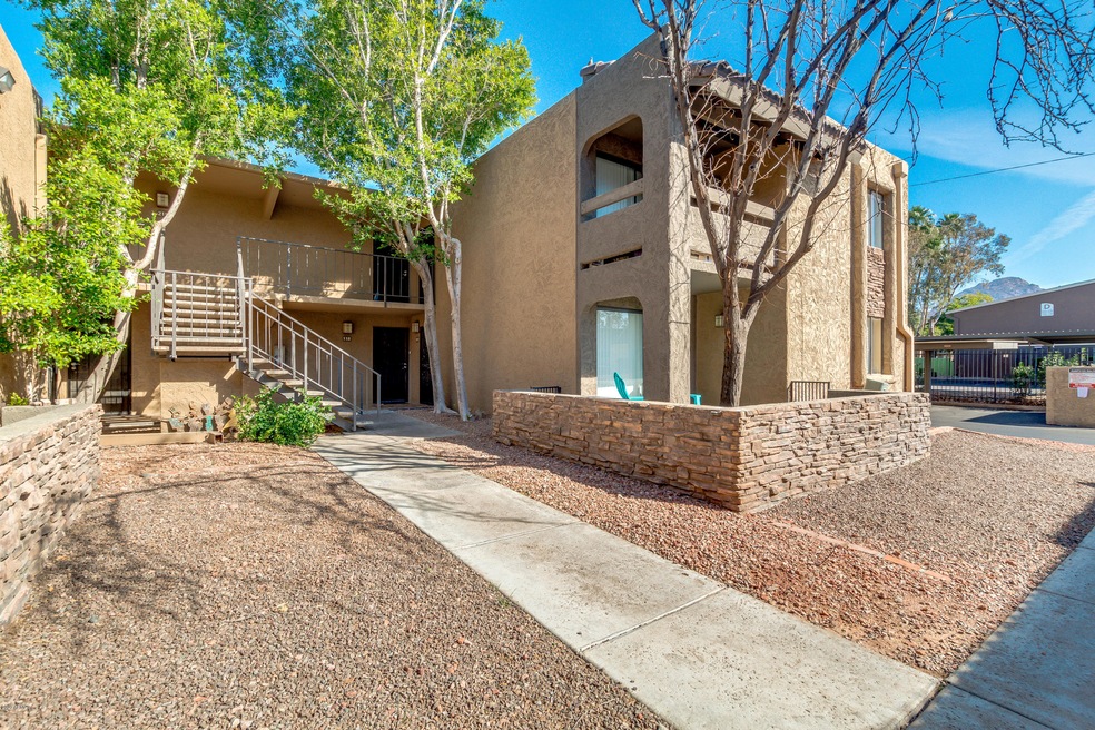01-Camelback