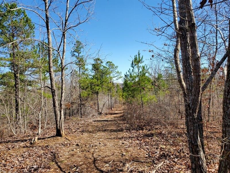 Sold $222,962 • Co-Listing Agent