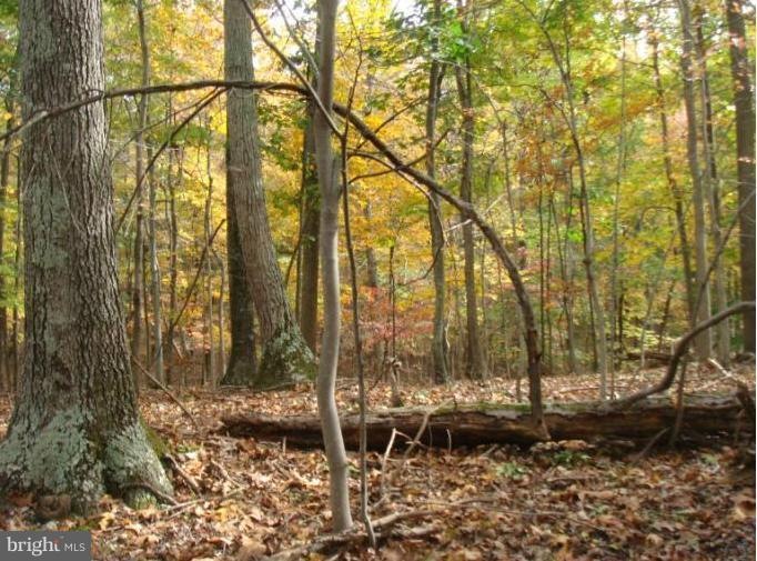 0 Mission Rd unit 1003986339, Harpers Ferry, WV 25425 - photo 1