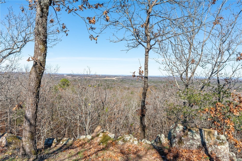 TBD Bear Hollow Rd, Fort Smith, AR 72916 - photo 1