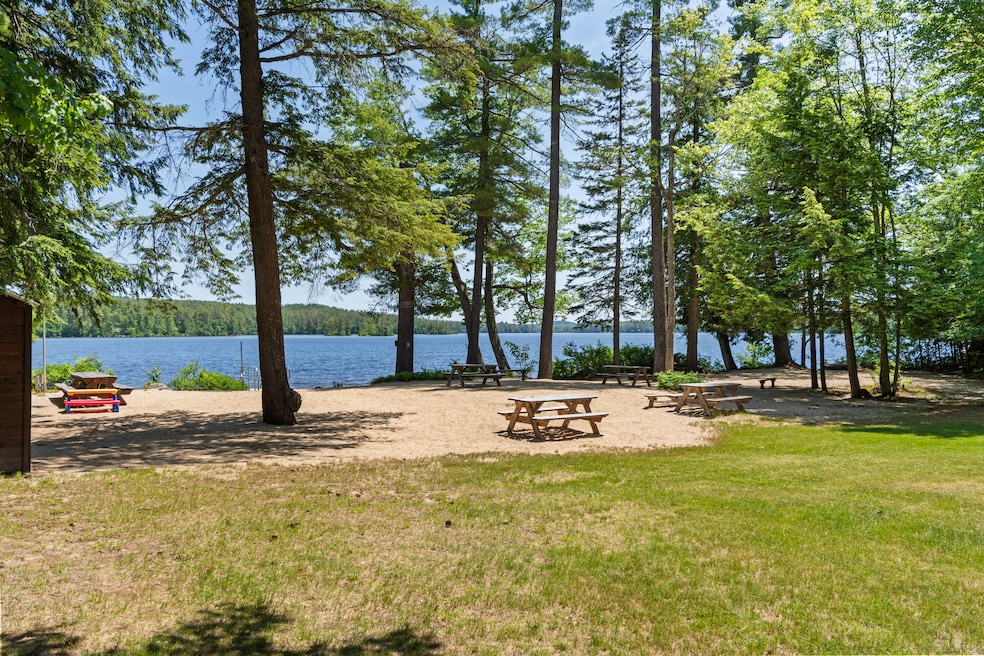 46 Christmas Tree Ln_164