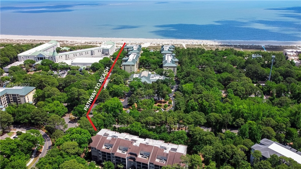Aerial Showing Pathway to Beach