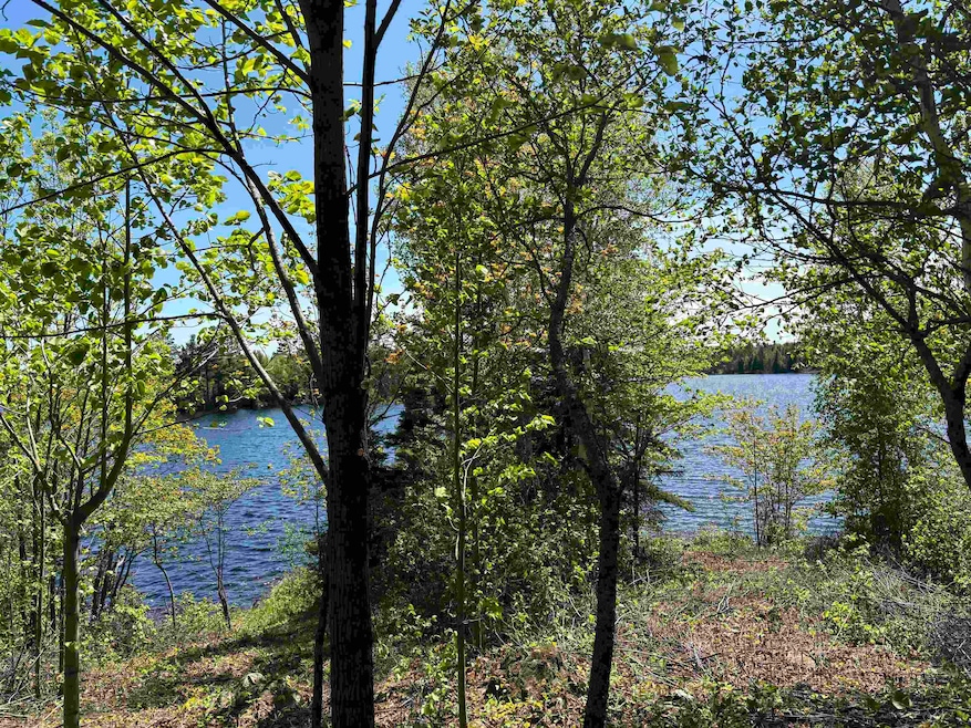 Unit 2 Fernberg Rd, Fall Lake Township, MN 55731 - photo 1