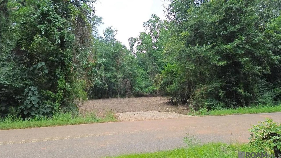 Tract A John D Wood Rd, Franklinton, LA 70438 - photo 1