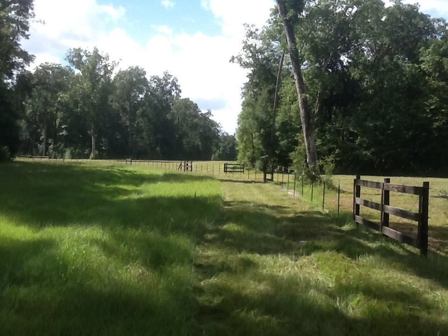 745 River Plantation Rd, Crawfordville, FL 32327 - photo 1