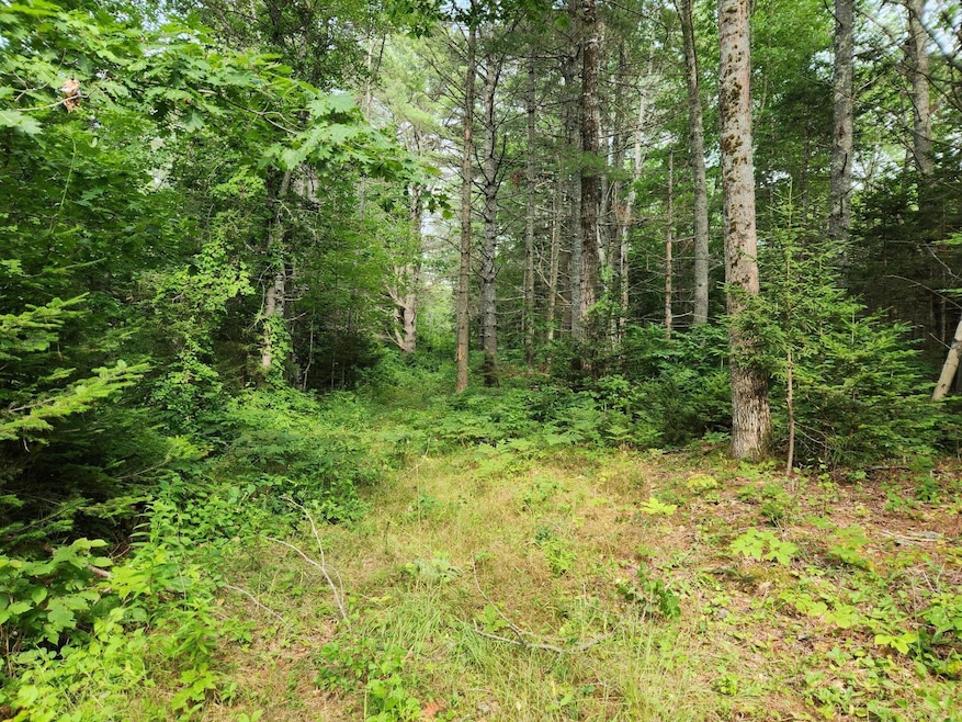 Sold $49,000 • Co-Listing Agent
