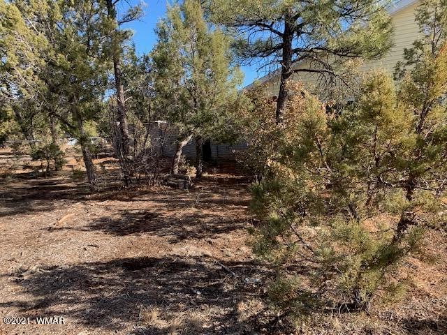 0 N Canyon Loop unit 234032, Show Low, AZ 85901 - photo 1