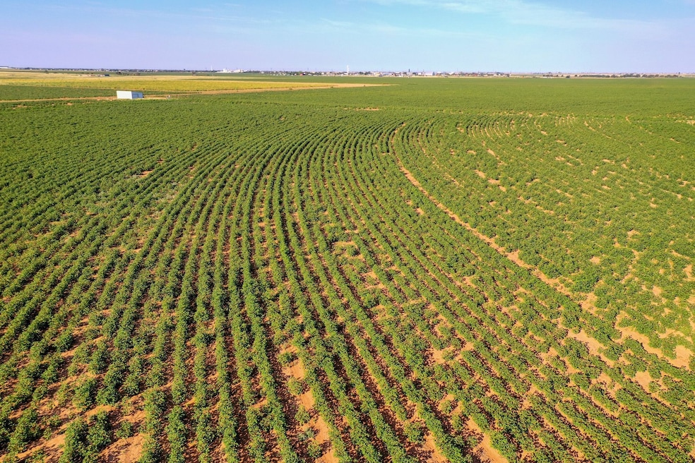 1736 C R 5500, Lubbock, TX 79403 - photo 1