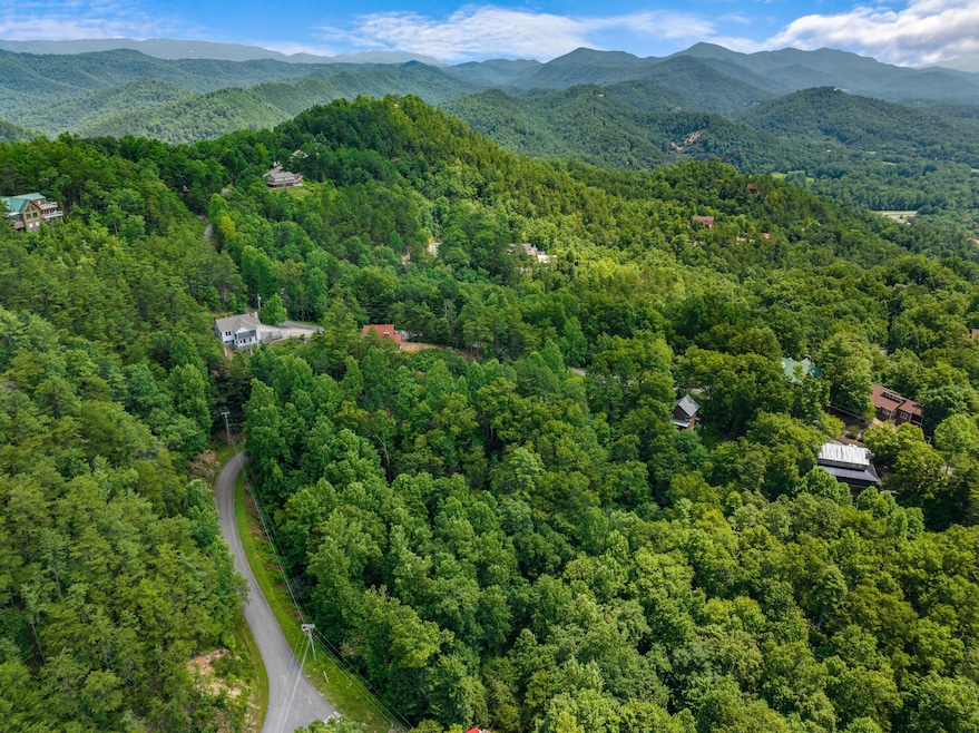 1005 Laurel Rd, Townsend, TN 37882 - photo 1