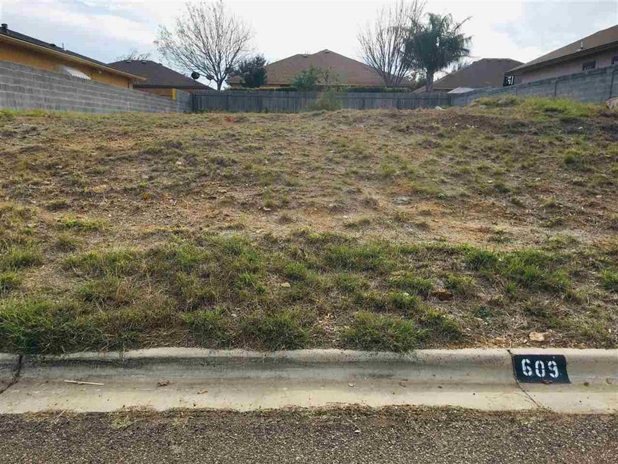 609 Waxwing Cedar Dr, Laredo, TX 78045 - photo 1