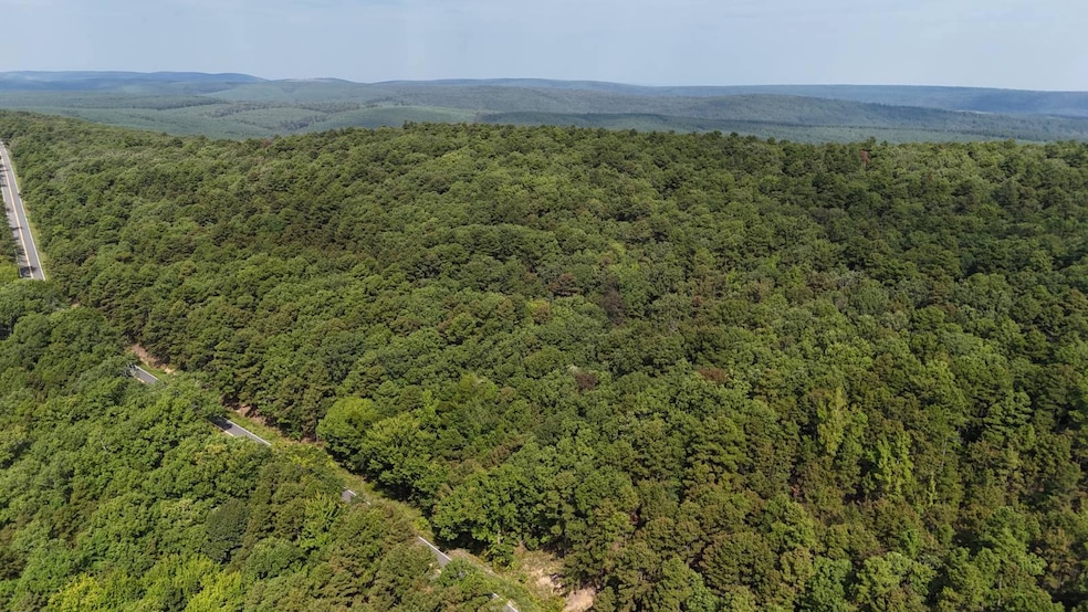 169378 Indian Hwy, Kiamichi Christian Mission, OK 74549 - photo 1