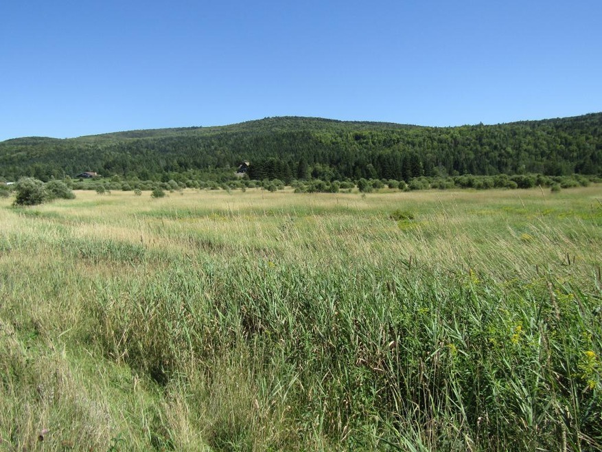 1-13B Hall Stream Rd, Pittsburg, NH 03592 - photo 1