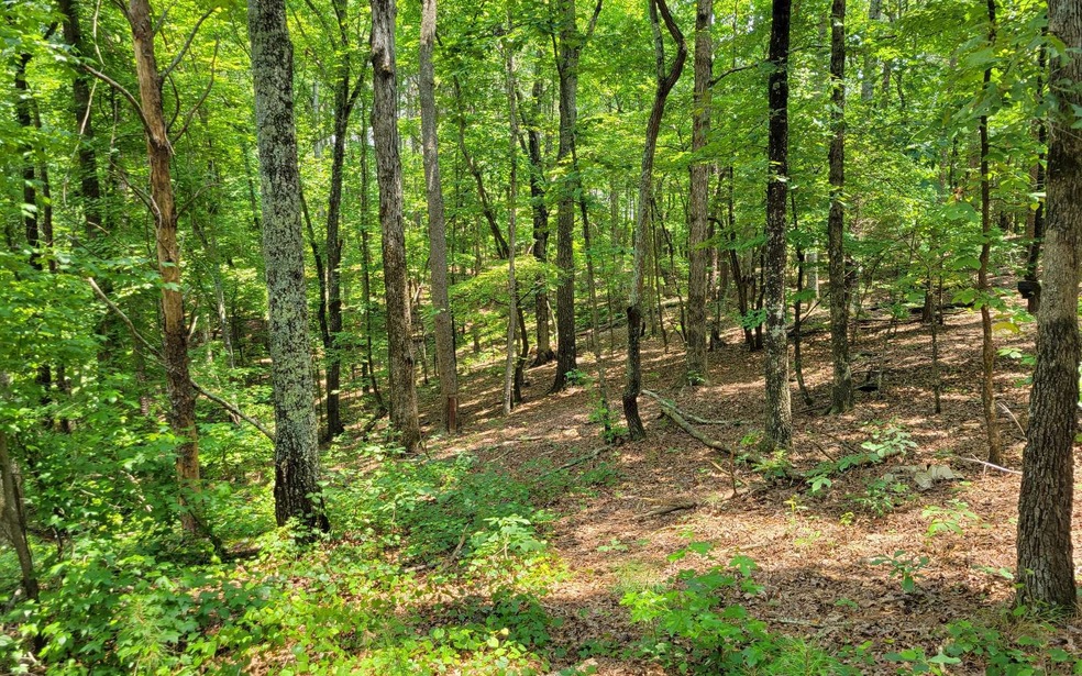 0 Hwy 411 unit 308551, Ranger, GA 30743 - photo 1