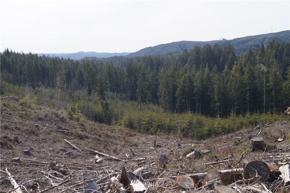 0 M.P. 62 U S 101, Raymond, WA 98577 - photo 1