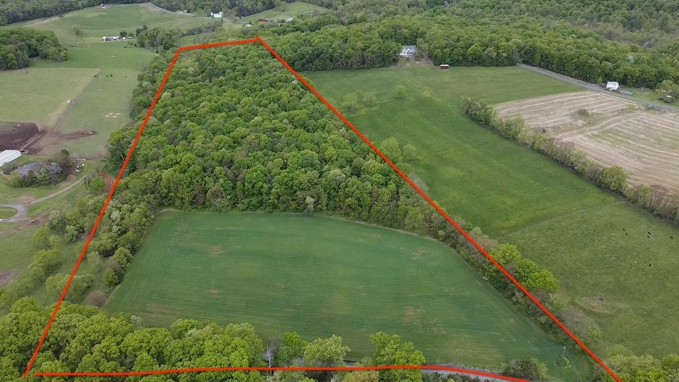 TBD Land Grant Rd, Mount Jackson, VA 22842 - photo 1