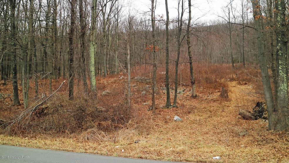 0 Constitution Ave unit PM-75460, Pen Argyl, PA 12864 - photo 1