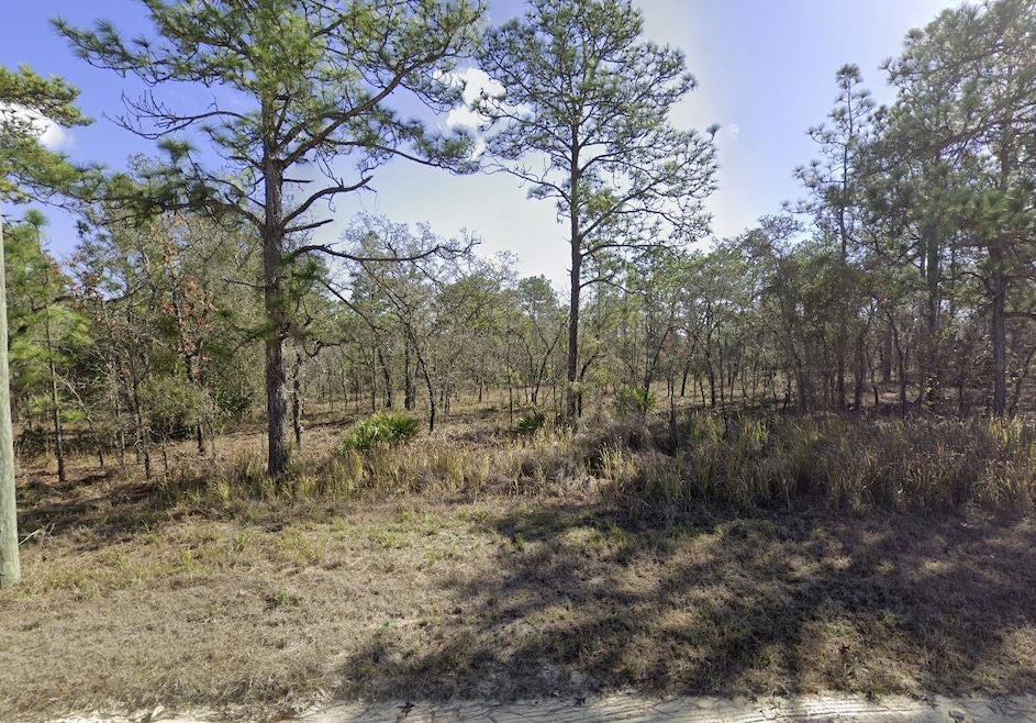 Sold $29,900 • Co-Listing Agent