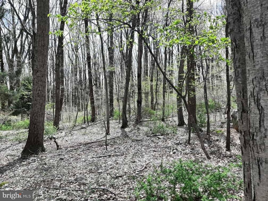 0 Hillcrest Rd, Washington Township, PA 19504 - photo 1