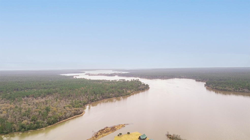 41 Cypress Bend, Huntsville, TX 77340 - photo 1